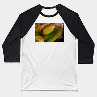 Leaf Roll Baseball T-Shirt